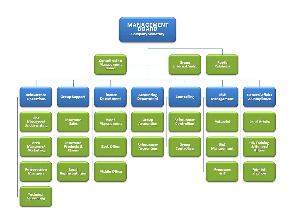 Organization Structure